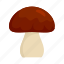 forest, mushroom 