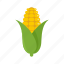 cob, corn 