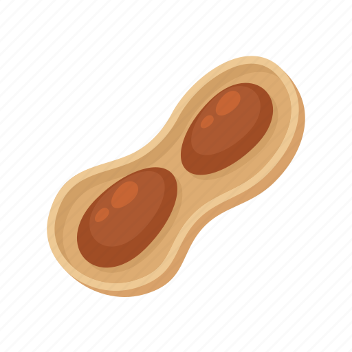Peanut, shell icon - Download on Iconfinder on Iconfinder