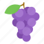 berry, fruit, grape 