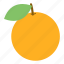 fruit, orange 