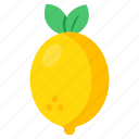 lemon, lime, citrus fruit, edible, eatable
