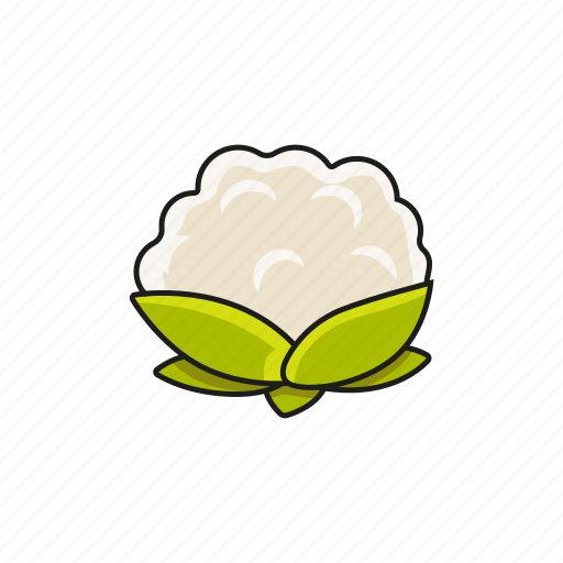 Cabbage, food, salad, vegetable icon icon - Download on Iconfinder
