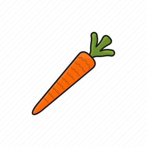 Carrot, food, gastronomy icon, vegetable icon icon - Download on Iconfinder