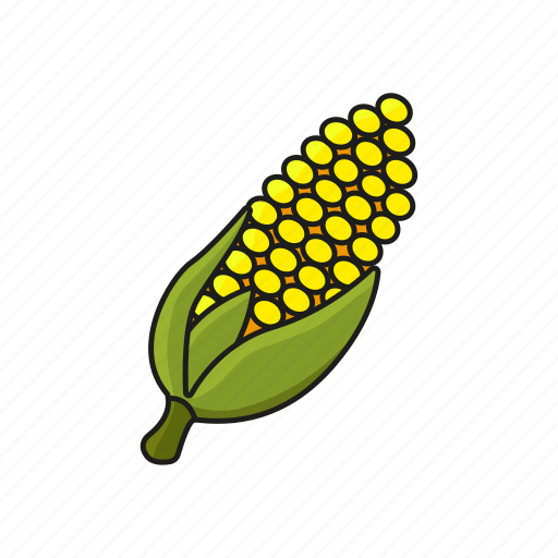 Corn, farm, food, organic icon icon - Download on Iconfinder