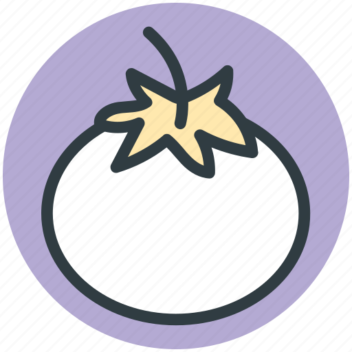 Food, fruit, healthy food, nutrition, tomato icon - Download on Iconfinder