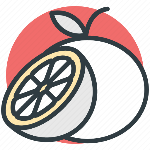 Diet, food, fruit, healthy food, orange icon - Download on Iconfinder