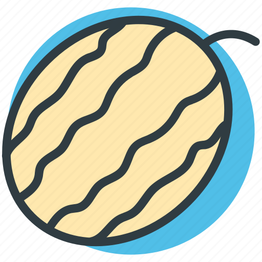 Cantaloupe, food, fruit, healthy food, watermelon icon - Download on Iconfinder