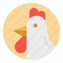 animals, bird, chicken, farm, farming