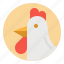 animals, bird, chicken, farm, farming 