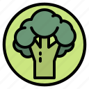 broccoli, food, healthy, vegetable, vegetarian