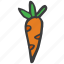 carrot, food, fruit, healthy, vegetable 