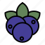 blueberries, blueberry 