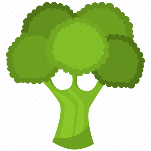 Broccoli, food, green, healthy, meal, vegetable, vegetarian icon - Download on Iconfinder