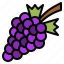 food, grape, berry, purple, fruit 