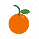 orange, citrus, fruit