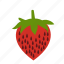 strawberry, fruit, strawberries 