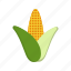 food, maize, plant 