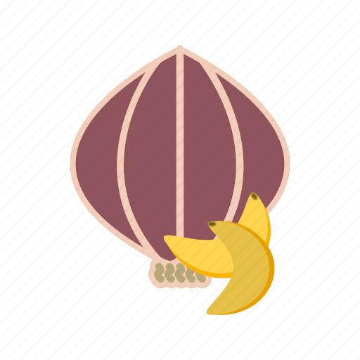 Garlic, cooking, vegetable icon - Download on Iconfinder
