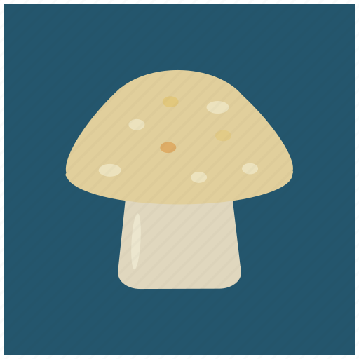D, food, healthy, mushroom, vegetable, vitamin icon - Download on Iconfinder