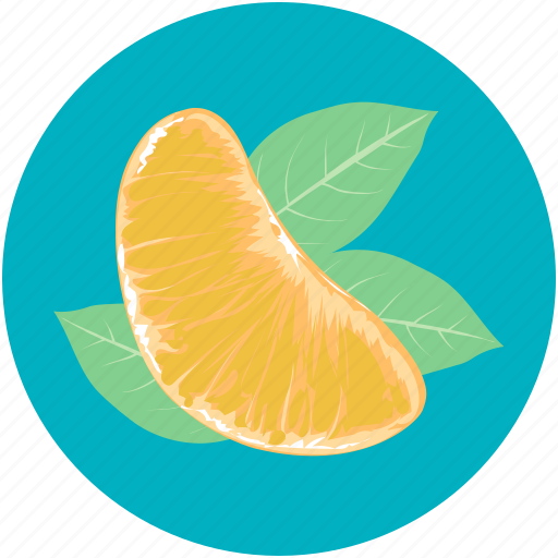 Food, fruit, healthy diet, orange, orange slice icon - Download on Iconfinder