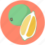 citrus fruit, food, fruit, lemon slice, orange slice 