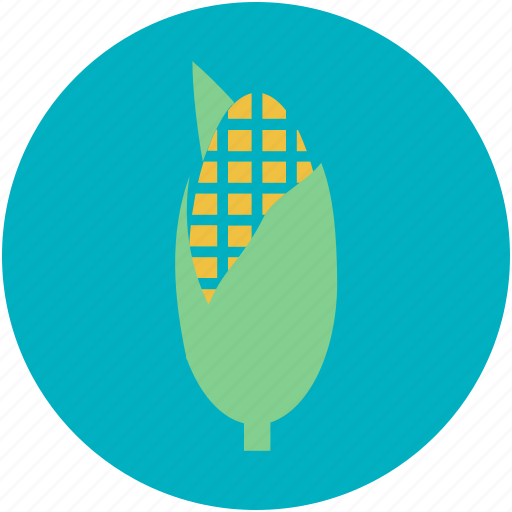 Corn, maize, pole corn, sugar corn, sweet corn icon - Download on Iconfinder