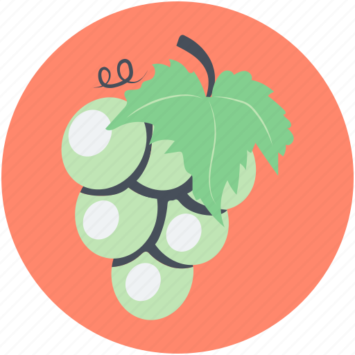 Bunch of grapes, food, fruit, grapes, healthy food icon - Download on Iconfinder