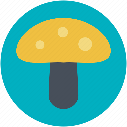 Fungi, fungus, mushroom, oyster mushroom, toadstool icon - Download on Iconfinder