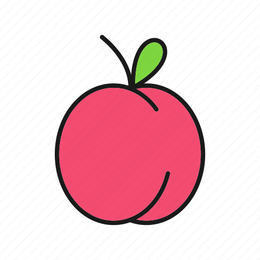 Apricot, fruit, energy, food icon - Download on Iconfinder