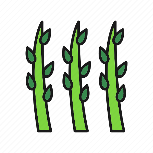 Asparagus, food, vegetable, cooking icon - Download on Iconfinder