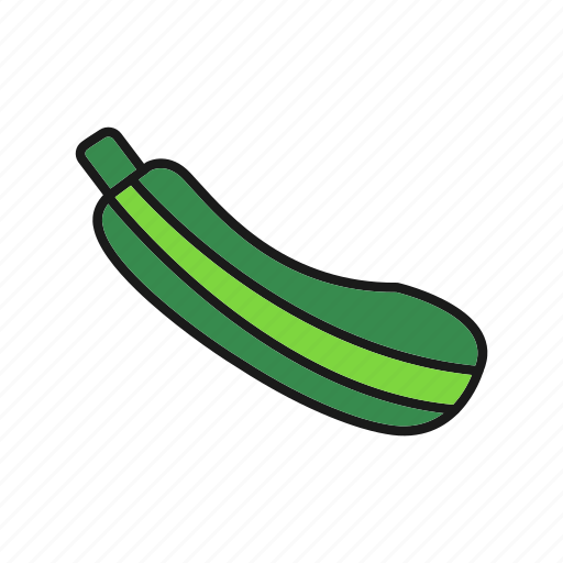 Zucchini, health, food, vegetable icon - Download on Iconfinder