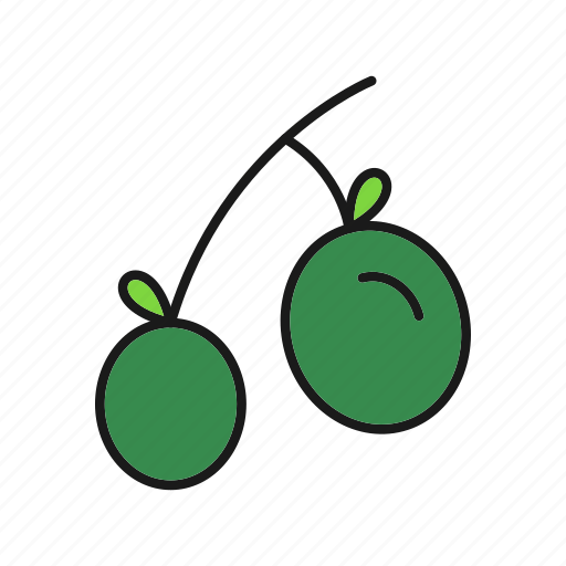 Olive, vegetable, healthy, fruit icon - Download on Iconfinder