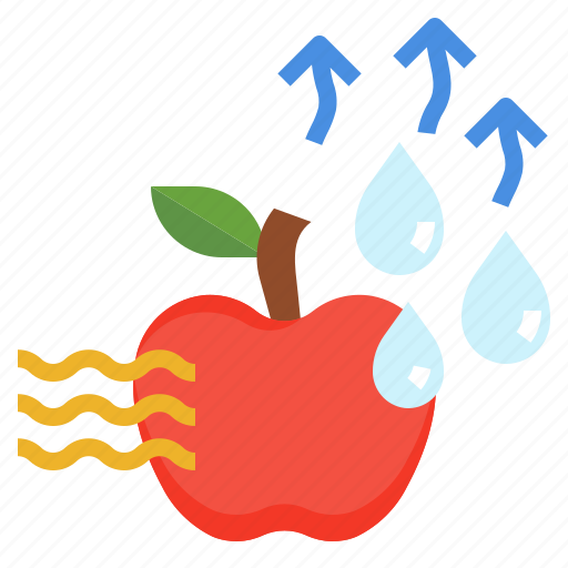 Drying, dehydration, fruit, processing, preservation icon - Download on Iconfinder
