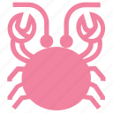 cockroach, crab, food, mud crab, sea creature, seafood
