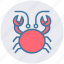 cockroach, crab, food, mud crab, sea creature, seafood 