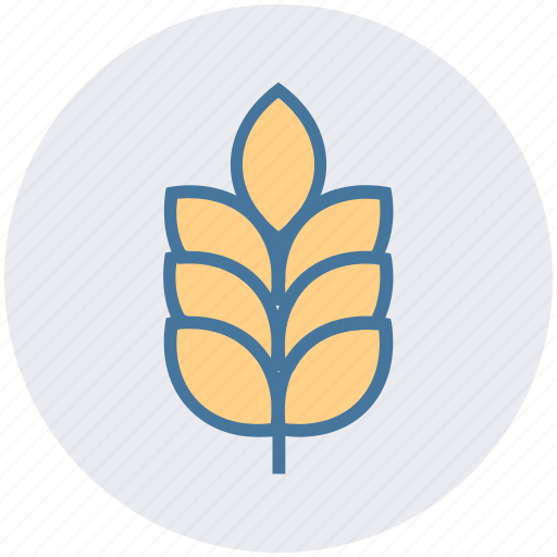 Agriculture, cereal grain, farm, food, grain, grain ear, wheat icon - Download on Iconfinder