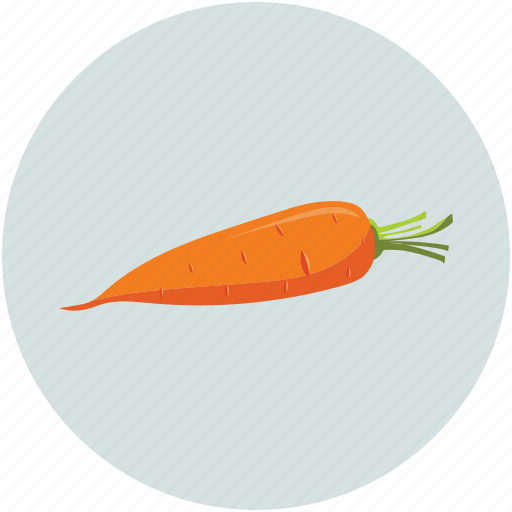 Carrot, food, healthy, vegetable icon - Download on Iconfinder