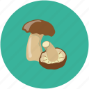 mushrooms, food, vegetable, eating