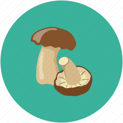 Mushrooms, food, vegetable, eating icon - Download on Iconfinder
