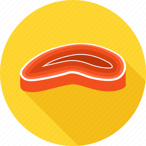 Beaf, food, ham, meat, nonveg, chicken, non-veg icon - Download on Iconfinder