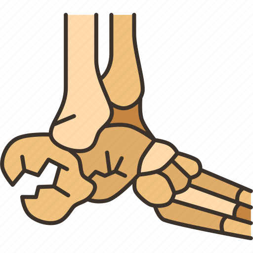 Heel, fracture, calcaneal, bone, injury icon - Download on Iconfinder