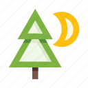 fir, moon, night, christmas tree, tree, nature, plant