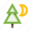 fir, moon, night, christmas tree, tree, nature, plant 