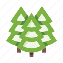forest, trees, wood, coniferous, pine, fir, christmas tree