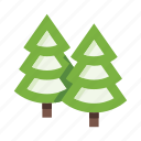 forest, trees, wood, coniferous, pine, fir, christmas tree