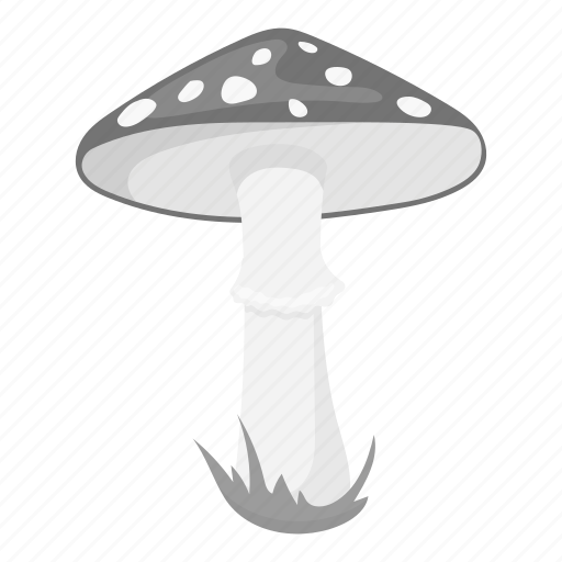 Amanita, ecology, forest, fungus, nature, plant, poisonous icon - Download on Iconfinder