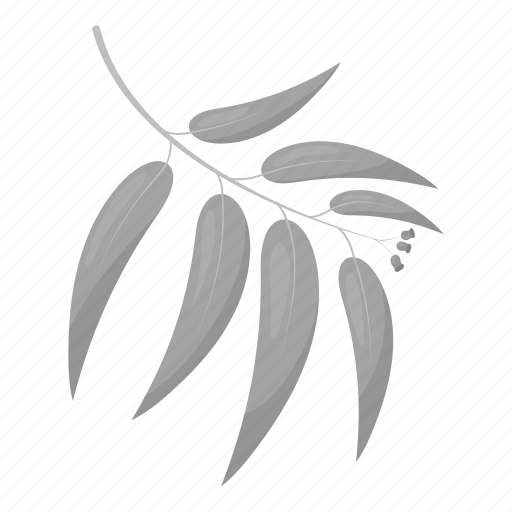 Branch, ecology, forest, leaves, nature, willow icon - Download on Iconfinder