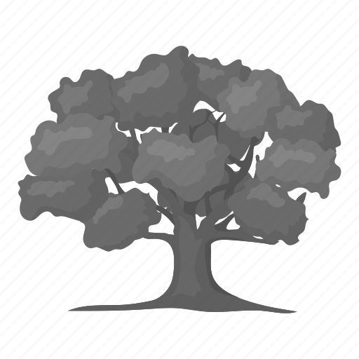 Ecology, forest, leaf, nature, oak, plant, tree icon - Download on Iconfinder