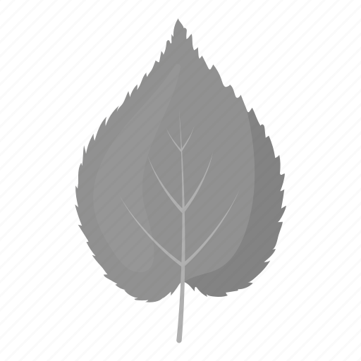 Ecology, forest, leaf, linden, nature, plant, tree icon - Download on Iconfinder